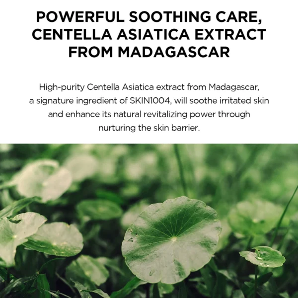 skin1004 madagascar centella, hyalu cica water fit sun serum spf 50+ pa++++, 1.69 fl oz (50 ml)