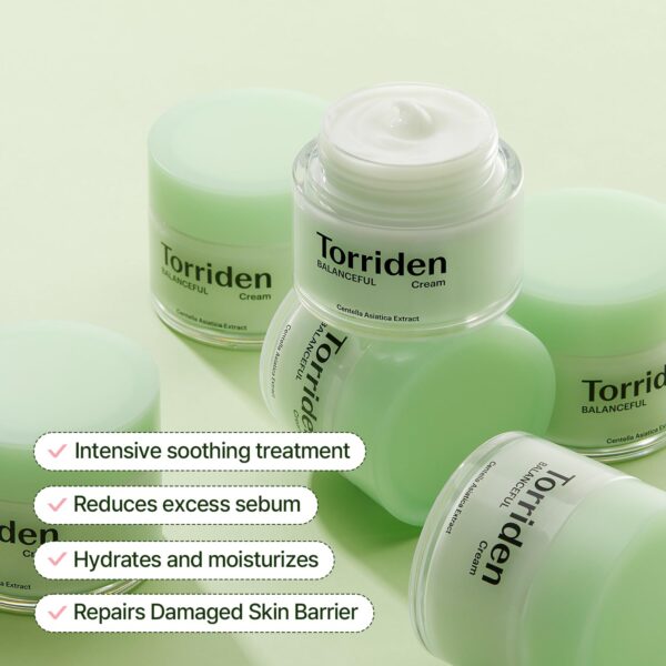 torriden balanceful cream 80ml