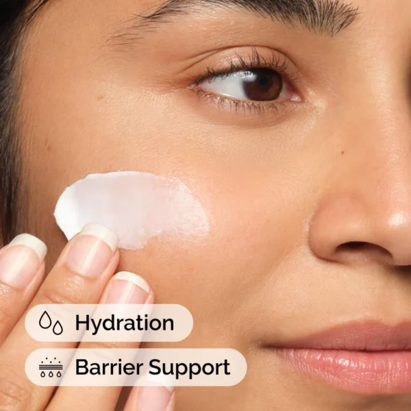 the ordinary natural moisturizing factors + ha 100ml