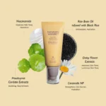 Haruharu Wonder BLACK RICE moisture airyfit daily sunscreen SPF50+ PA++++ - Image 2