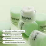 Torriden BALANCEFUL Cream 80ml - Image 2