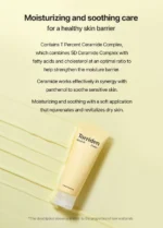 Torriden SOLID-IN Ceramide Cream - Image 2