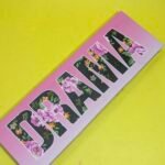 Profusion USA DRAMA 10 Colors Eyeshadow Palette